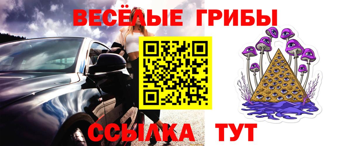 Галлюциногенные грибы ЛСД Камень-на-Оби